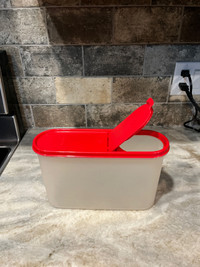 Tupperware Large Oval with pour all seal