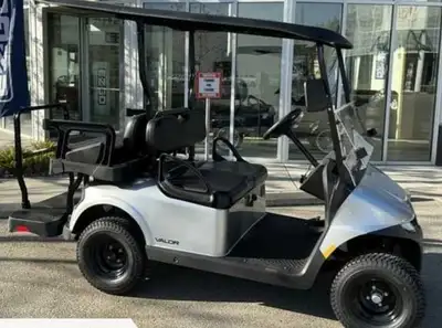 Golf Cart Gas 2026 ezgo, View more