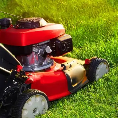 We do complete lawn care, personalized and customized service including Mowing, edge trimming and fu...