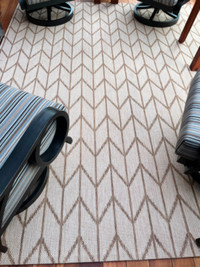 Indoor/Outdoor Carpet 8X10
