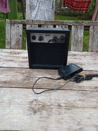 Portable Mini Guitar Amp, Uses Batteries Or AC