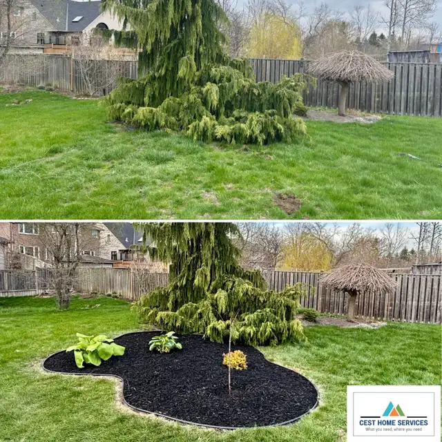Lawn Maintenance/Grass cutting/Trimming/Sodding/Yard Cleanup63581885750787122
