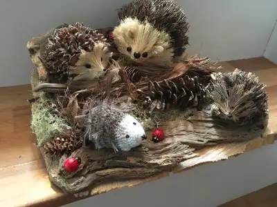 HEDGEHOG DISPLAY, View more