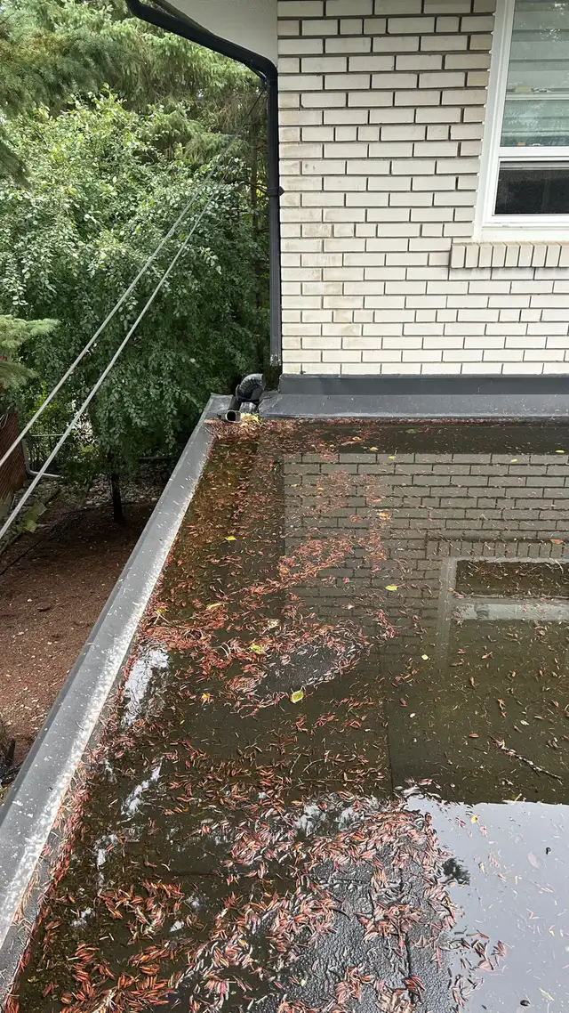 Henry Roofing Services556111376302090241