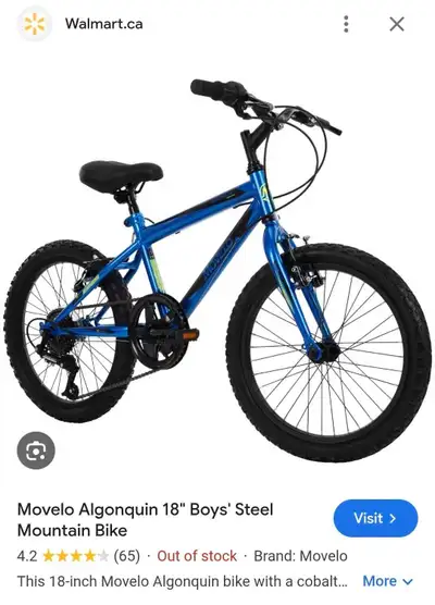 Movelo Algonquin 18" Boys' Steel Mountain Bike, View more