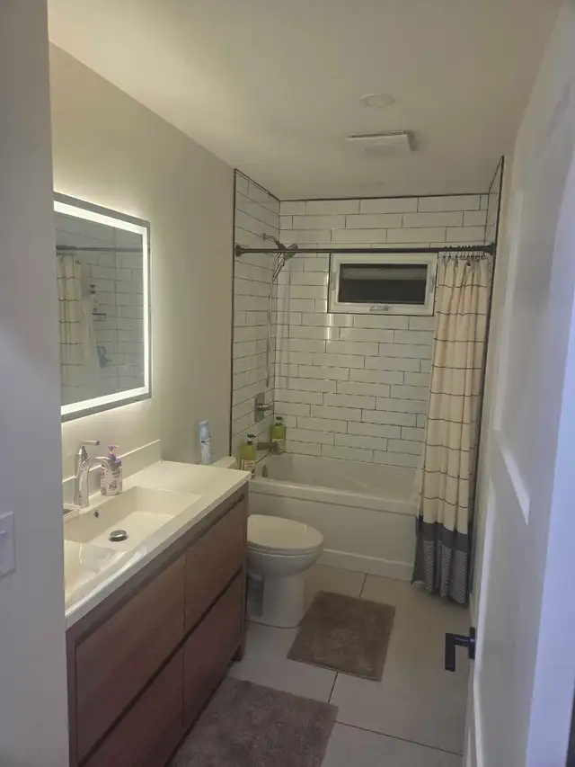 Painting and trim work548407810238064647
