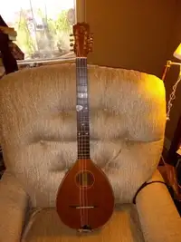 octave mandolin