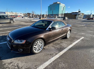 2010 Audi A5 A5