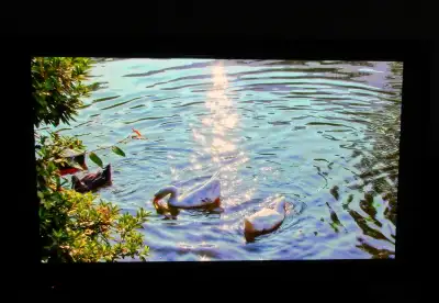 42 inch TV $30 Panasonic Plasma, View more