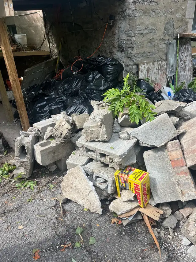 Ramassage  déchet/Junk REMOVAL63804706840449121