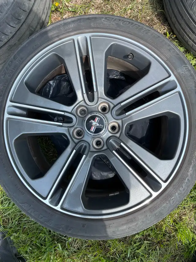 mustang mags 19” in Tires & Rims in Longueuil / South Shore - Image 4