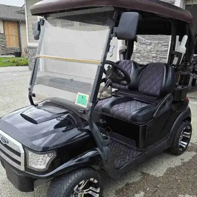 Golf cart that is highly upgraded and is in excellent condition. Custom body. Custom upholstery. Mag...