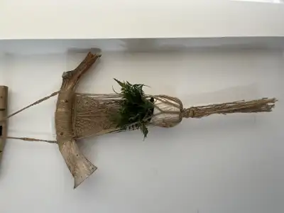 Macramé avec pot et plante, View more