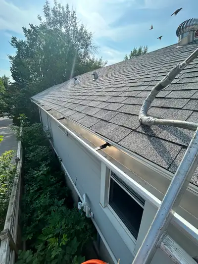 Spring Gutter Cleaning!, View more