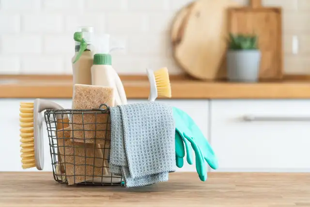 European cleaning lady available 