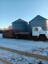 1986 IH S1600 6.9 IDI with a 1989 Norbert stock trailer