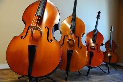 GUITARISTE ET PIANISTE CHERCHE BASSISTE ET BATTEUR NUANCÉ ..., View more