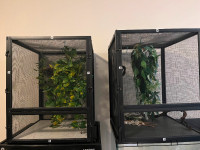 Used Chameleon Screen Cage
