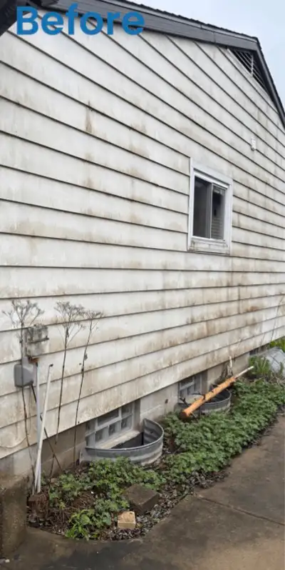  PRESSURE WASHING SERVICES , View more