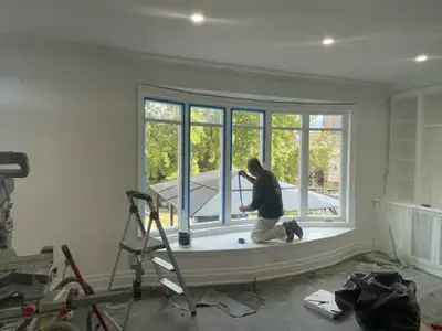 Professional Painting., View more