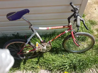 Formula 1 CCM Road race Bike Rare, View more