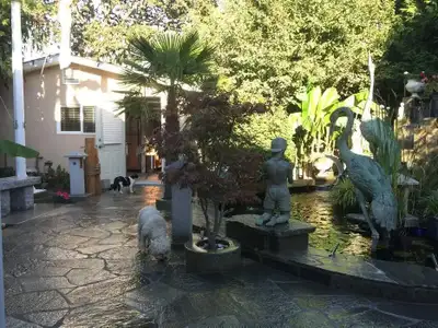 May 1st 2026 $1900. (GONZALES AREA OF VICTORIA). GARDEN COTTAGE. This rental is a furnished "BACHELO...