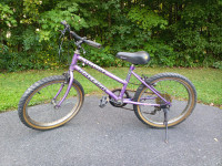 Kids Bicycle Raleigh Cyclone 20" Purple Bike