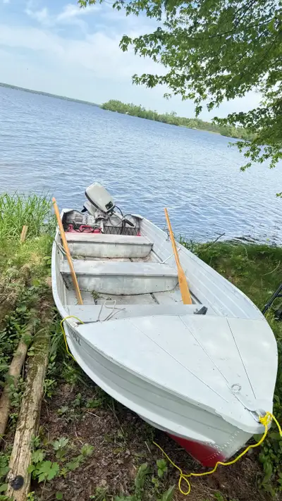 15 hp Johnson 2 stock engine ，include trailer what you see is what you get， 2000 cad or OBO