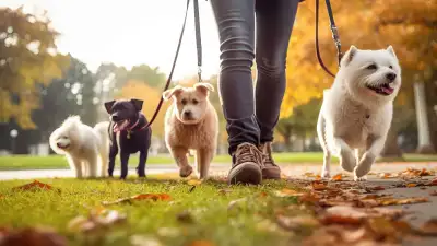 Dog Walking and Waste Removal, Pet Sitting Services, View more