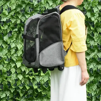 2-IN-1 Pet Luggage Box Backpack Carrier, Grey, View more