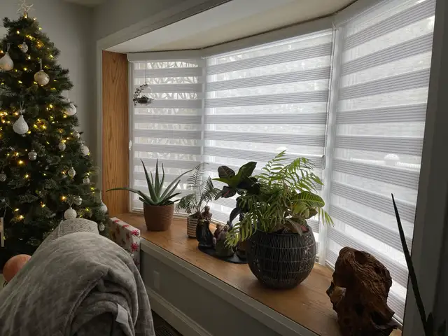 Zebra Blinds Custom Made - Turkish Fabric65565394208003128