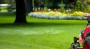 LAWN CARE-SPRING CLEAN UP-RESIDENTIAL/COMMERCIAL, View more