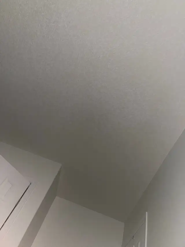 broken e scooter 479102394476144640
