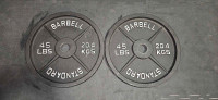 2 45lb Steel Barbell plates