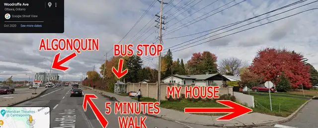 SEP 1st - 4 MIN WALK TO ALGONQUIN - FEMALE ONLY HOUSE -ALL INCL62864384316802122