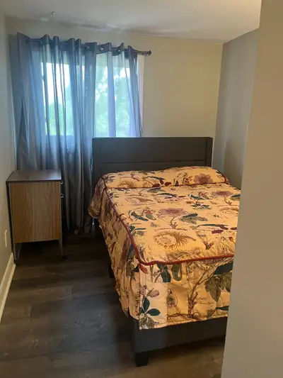 chambre de collocation