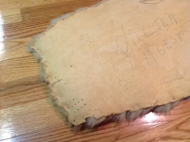 Taxidermie: peau de phoque (blanchon) in Other in Rimouski / Bas-St-Laurent - Image 4