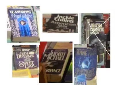 VC Andrews,  Anne Rice, Judith Michael books, etc, View more