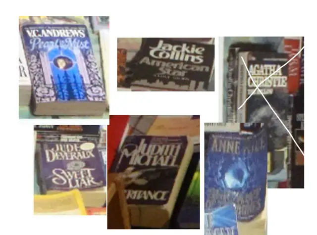 VC Andrews,  Anne Rice, Judith Michael books, etc in Fiction in Ottawa - Image 2