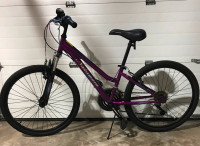 NAKAMURA junior bike, 24 inch