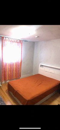 Young and finch subway nice bedroom for rent 