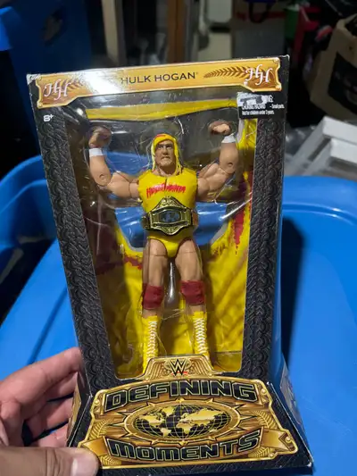 Hulk Hogan, View more