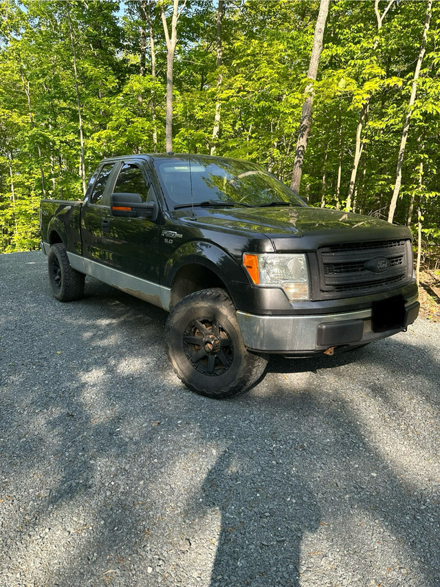 2013 Ford F150 XLT 5.0L in Cars & Trucks in Sudbury