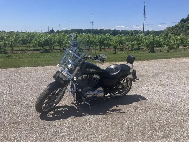 2012 Harley-Davidson sportster XL in Street, Cruisers & Choppers in Leamington - Image 6