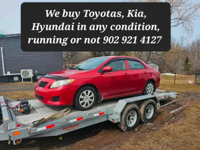 BUYING Toyotas, Kia, Hyundai in any shape, running or broke
