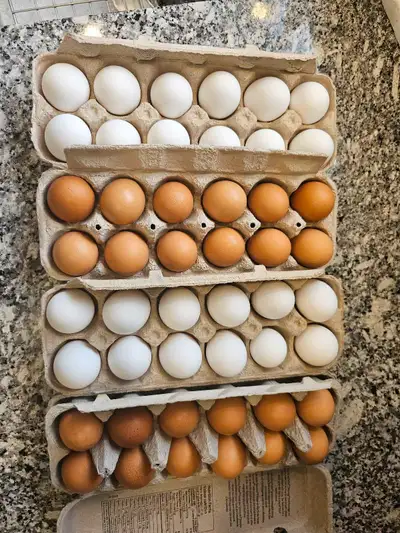 Fresh eggs for sale, View more