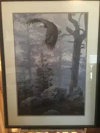 Framed Art - Shrouded Forest Daniel Smith Framed Art Print Eagle
