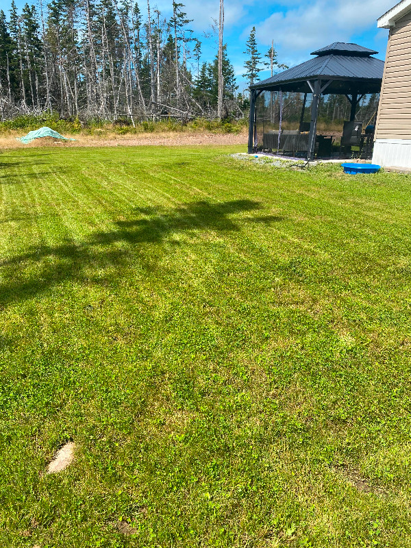 2016 Kent Mini Home. Houses for Sale Cape Breton Kijiji