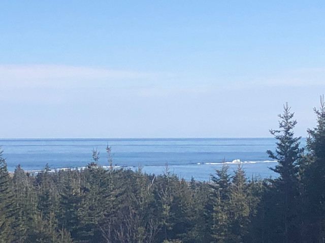 Off Grid Ocean View Property dans Terrains à vendre  à Saguenay