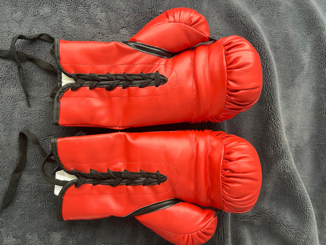 Everlast lace up boxing gloves | Exercise Equipment | City of Toronto ...